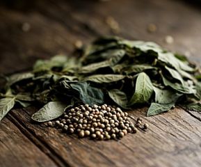 Patchouli & Peppercorn Parfümöl - Für weitere Informationen anklicken